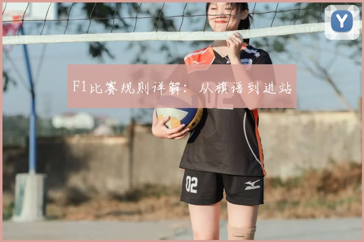 F1比赛规则详解:从旗语到进站