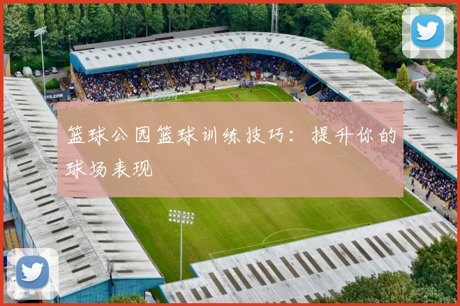 篮球公园篮球训练技巧:提升你的球场表现