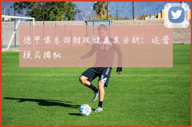 德甲俱乐部财政健康度分析：运营模式揭秘
