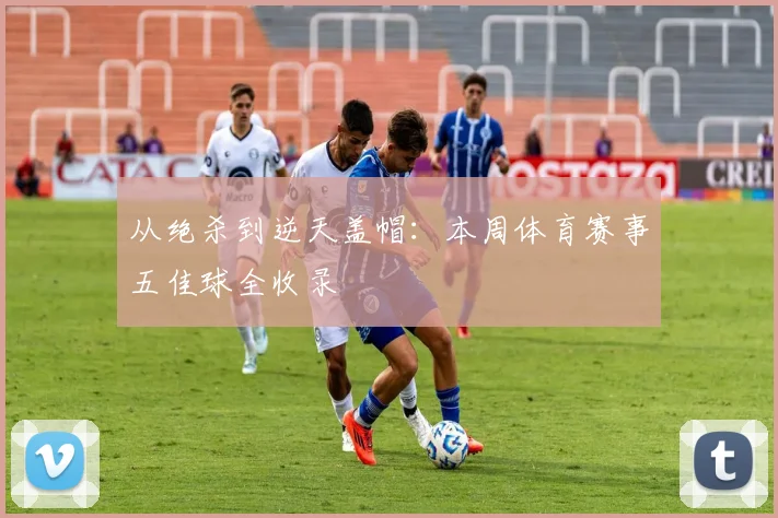 从绝杀到逆天盖帽:本周体育赛事五佳球全收录