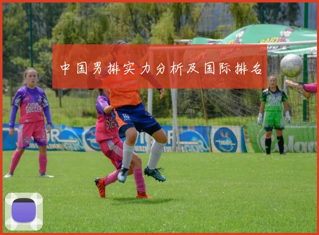 中国男排实力分析及国际排名